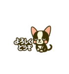 相棒ボストンテリアと毎日伝えよう！（個別スタンプ：17）