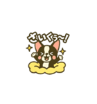相棒ボストンテリアと毎日伝えよう！（個別スタンプ：18）