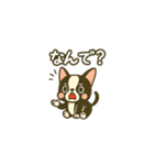 相棒ボストンテリアと毎日伝えよう！（個別スタンプ：24）