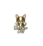 相棒ボストンテリアと毎日伝えよう！（個別スタンプ：26）