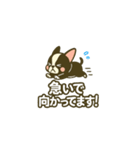 相棒ボストンテリアと毎日伝えよう！（個別スタンプ：28）