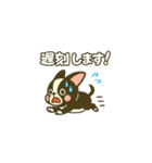 相棒ボストンテリアと毎日伝えよう！（個別スタンプ：29）