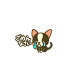 相棒ボストンテリアと毎日伝えよう！（個別スタンプ：32）