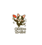相棒ボストンテリアと毎日伝えよう！（個別スタンプ：36）