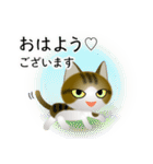 色々な猫14-1 短毛-立ち耳-キジトラ白（個別スタンプ：1）