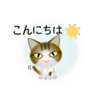色々な猫14-1 短毛-立ち耳-キジトラ白（個別スタンプ：5）