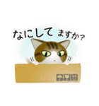 色々な猫14-1 短毛-立ち耳-キジトラ白（個別スタンプ：8）