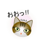 色々な猫14-1 短毛-立ち耳-キジトラ白（個別スタンプ：10）