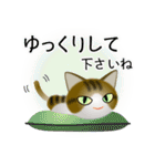 色々な猫14-1 短毛-立ち耳-キジトラ白（個別スタンプ：12）