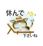 色々な猫14-1 短毛-立ち耳-キジトラ白（個別スタンプ：13）