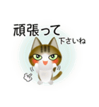 色々な猫14-1 短毛-立ち耳-キジトラ白（個別スタンプ：16）