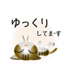 色々な猫14-1 短毛-立ち耳-キジトラ白（個別スタンプ：18）