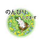 色々な猫14-1 短毛-立ち耳-キジトラ白（個別スタンプ：19）