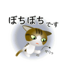 色々な猫14-1 短毛-立ち耳-キジトラ白（個別スタンプ：20）