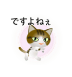 色々な猫14-1 短毛-立ち耳-キジトラ白（個別スタンプ：23）