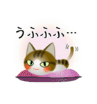 色々な猫14-1 短毛-立ち耳-キジトラ白（個別スタンプ：25）
