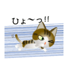色々な猫14-1 短毛-立ち耳-キジトラ白（個別スタンプ：34）