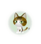 色々な猫14-1 短毛-立ち耳-キジトラ白（個別スタンプ：37）