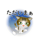 色々な猫14-1 短毛-立ち耳-キジトラ白（個別スタンプ：38）