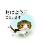 色々な猫14-2 短毛-垂れ耳-キジトラ白（個別スタンプ：1）