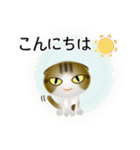 色々な猫14-2 短毛-垂れ耳-キジトラ白（個別スタンプ：5）