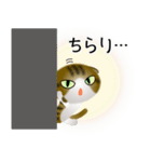 色々な猫14-2 短毛-垂れ耳-キジトラ白（個別スタンプ：6）