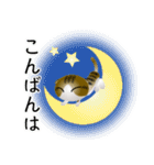 色々な猫14-2 短毛-垂れ耳-キジトラ白（個別スタンプ：7）