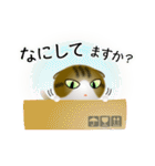 色々な猫14-2 短毛-垂れ耳-キジトラ白（個別スタンプ：8）