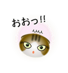 色々な猫14-2 短毛-垂れ耳-キジトラ白（個別スタンプ：10）