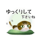 色々な猫14-2 短毛-垂れ耳-キジトラ白（個別スタンプ：12）