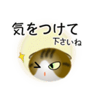 色々な猫14-2 短毛-垂れ耳-キジトラ白（個別スタンプ：14）