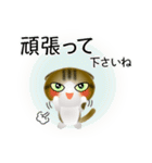 色々な猫14-2 短毛-垂れ耳-キジトラ白（個別スタンプ：16）