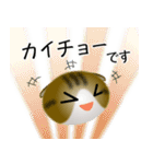 色々な猫14-2 短毛-垂れ耳-キジトラ白（個別スタンプ：17）