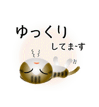 色々な猫14-2 短毛-垂れ耳-キジトラ白（個別スタンプ：18）