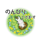 色々な猫14-2 短毛-垂れ耳-キジトラ白（個別スタンプ：19）