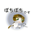色々な猫14-2 短毛-垂れ耳-キジトラ白（個別スタンプ：20）