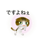 色々な猫14-2 短毛-垂れ耳-キジトラ白（個別スタンプ：23）