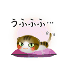 色々な猫14-2 短毛-垂れ耳-キジトラ白（個別スタンプ：25）