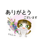 色々な猫14-2 短毛-垂れ耳-キジトラ白（個別スタンプ：31）