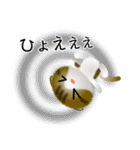 色々な猫14-2 短毛-垂れ耳-キジトラ白（個別スタンプ：35）