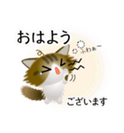 色々な猫14-3 長毛-立ち耳-キジトラ白（個別スタンプ：2）