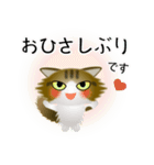 色々な猫14-3 長毛-立ち耳-キジトラ白（個別スタンプ：3）
