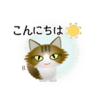 色々な猫14-3 長毛-立ち耳-キジトラ白（個別スタンプ：5）
