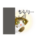 色々な猫14-3 長毛-立ち耳-キジトラ白（個別スタンプ：6）