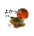 色々な猫14-3 長毛-立ち耳-キジトラ白（個別スタンプ：11）