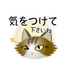 色々な猫14-3 長毛-立ち耳-キジトラ白（個別スタンプ：14）