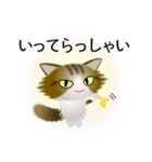 色々な猫14-3 長毛-立ち耳-キジトラ白（個別スタンプ：15）