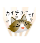 色々な猫14-3 長毛-立ち耳-キジトラ白（個別スタンプ：17）