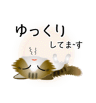 色々な猫14-3 長毛-立ち耳-キジトラ白（個別スタンプ：18）
