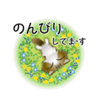 色々な猫14-3 長毛-立ち耳-キジトラ白（個別スタンプ：19）